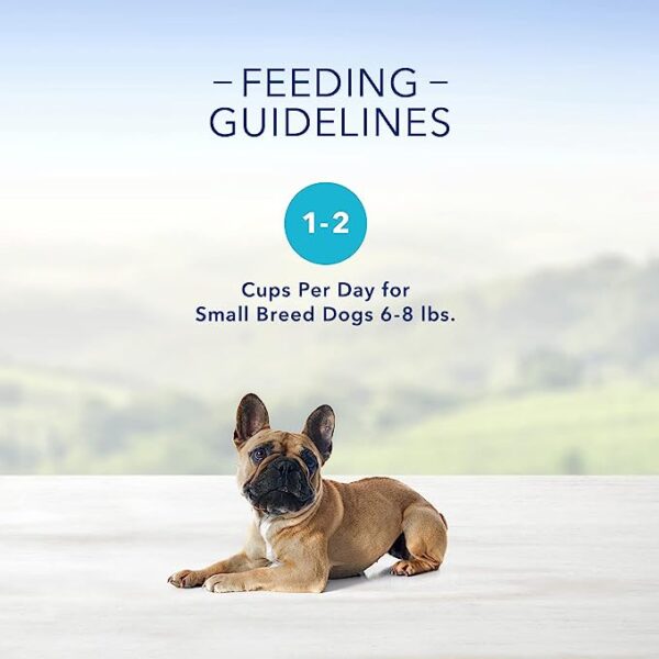 Blue Buffalo Delights Natural Adult Small Breed Wet Dog Food Cups, Pate Style, Filet Mignon and Porterhouse 3.5-oz (12 Pack- 6 of Each Flavor) - Image 2