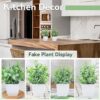 Der Rose 4 Packs Fake Plants Mini Artificial Greenery Potted Plants for Home Decor Indoor Office Table Room Farmhouse - Image 2