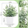 Der Rose 4 Packs Fake Plants Mini Artificial Greenery Potted Plants for Home Decor Indoor Office Table Room Farmhouse - Image 3