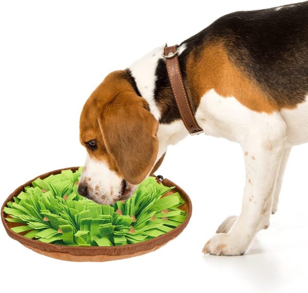 Pet's Puzzle Snuffle Mat for Dogs - 18-Inch Square Cube, Polar Fleece Material - Image 5